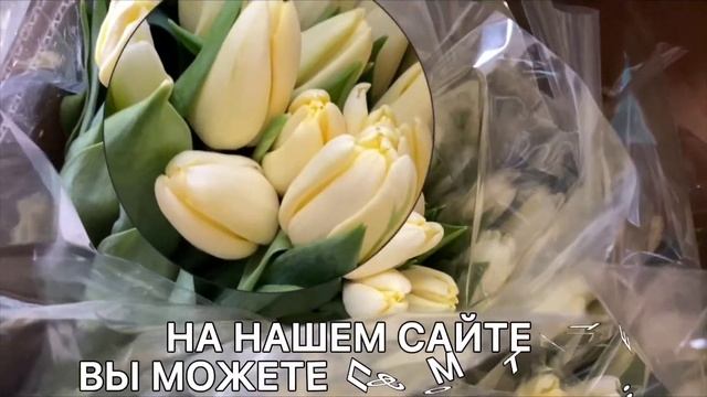 Крупные тюльпаны оптом и в розницу смотреть онлайн