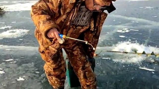 #Секрет рыбака. Где найти червей зимой? #Волга, зимняя #рыбалка. Рыбацкое #счастье на льду реки смотреть онлайн