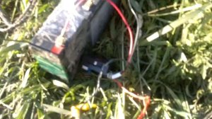 Миниатюрный насос для полива рассады и огорода.