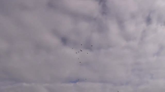 Строительные Перемены