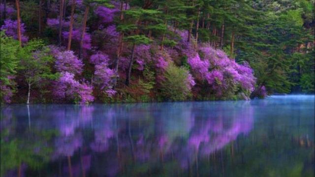 сл и музыка Рафаила Гизатулина Вновь в дороге смотреть онлайн