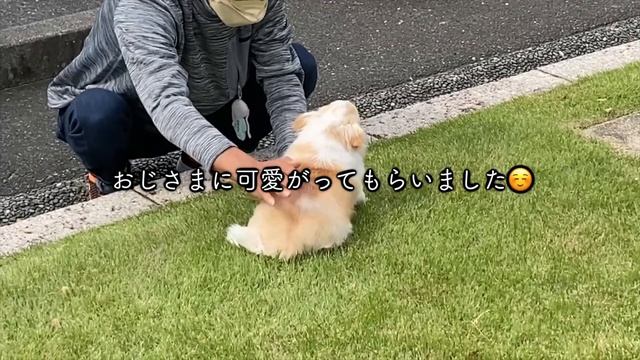 【車中泊ドライブ旅】奈良からディズニーまで車で何時間かかる？総距離530km【100系ハイエース】