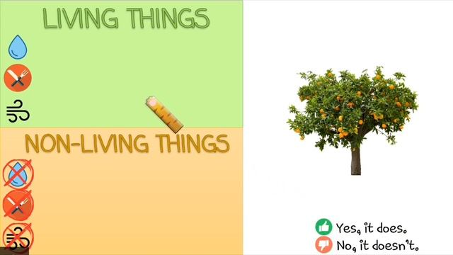 Living and non-living things: Class 1 смотреть онлайн