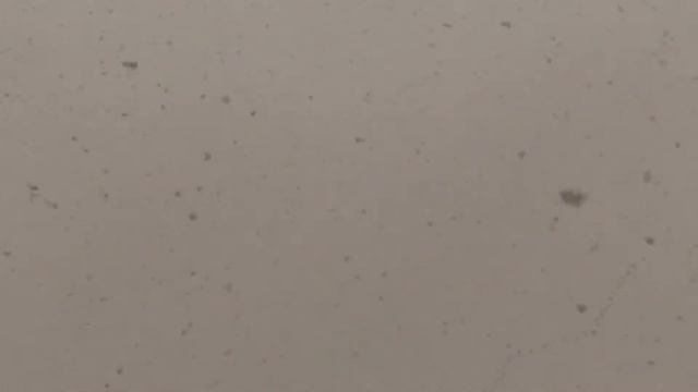 Снег идёт,а птицы летят смотреть онлайн