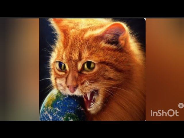 Кот обжора съел планету! Tasty Planet Forever смотреть онлайн