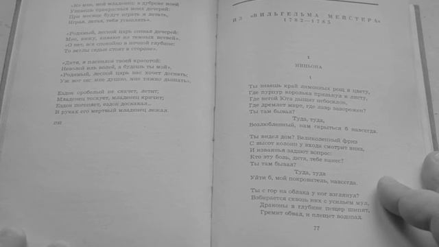 Лесной царь. Посвящение Л. Студеникину смотреть онлайн