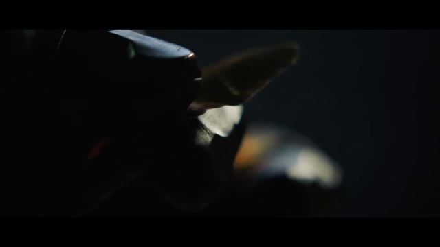 Обзор игры Destiny 2: Shadowkeep | Destiny 2: Обитель Теней