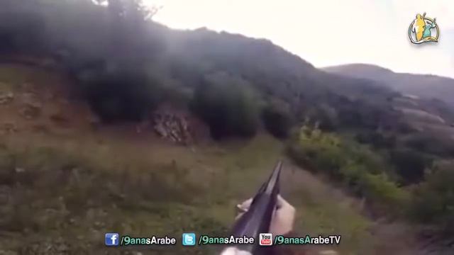 Wild Boar Hunting,Chasse sanglier Best Shots ever смотреть онлайн