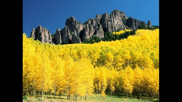 ЛЕЧЕБНАЯ МУЗЫКА, МЕДИТАЦИЯ , МУЗЫКА ДЛЯ СНА ,РЕЛАКС смотреть онлайн