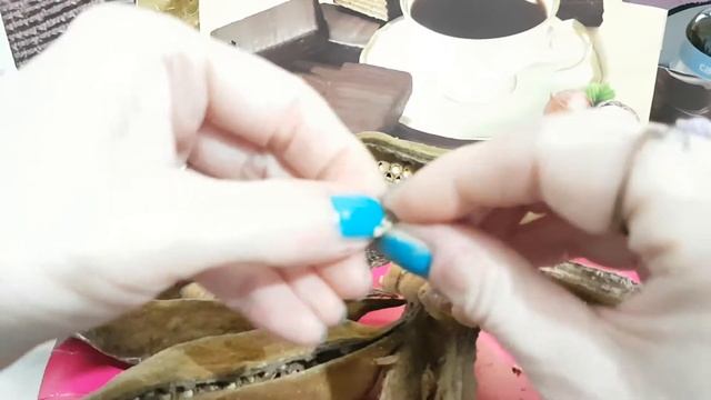 Шоколадное Дерево!?Как делают шоколад! смотреть онлайн