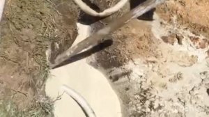 Как найти воду на участке. Метод 100%.