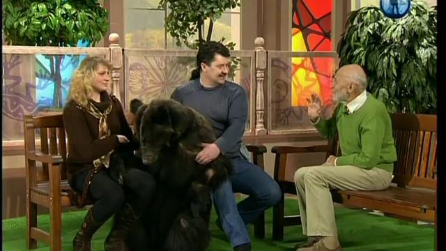 Дрессировка Медведя смотреть онлайн