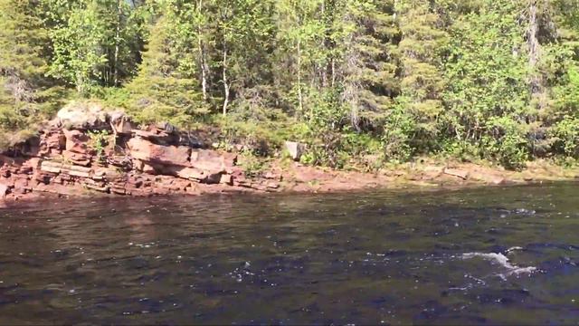 Сёмга Кольский июнь 2019 смотреть онлайн