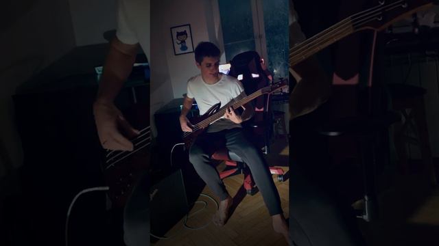 Covering RHCP with Ibanez SR500E смотреть онлайн