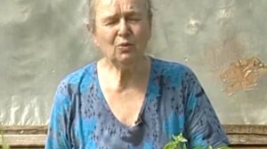 Садовник рекомендует №4