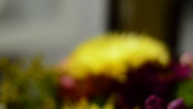 Supersized Sonnet #13 смотреть онлайн