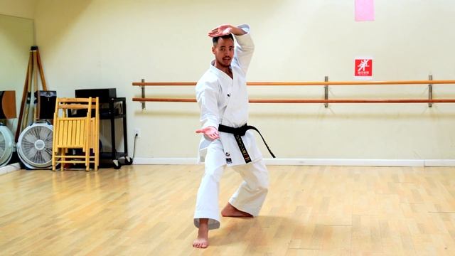 Kata Meikyo Full Tutorial смотреть онлайн