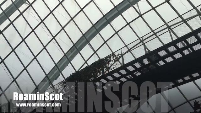 Out Of The Woods – The Making Of a Cloud Forest смотреть онлайн