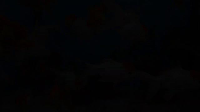 Aquarium 4K VIDEO (ULTRA HD) - Beautiful Coral Reef Fish - Sleep Relaxing Meditation Music