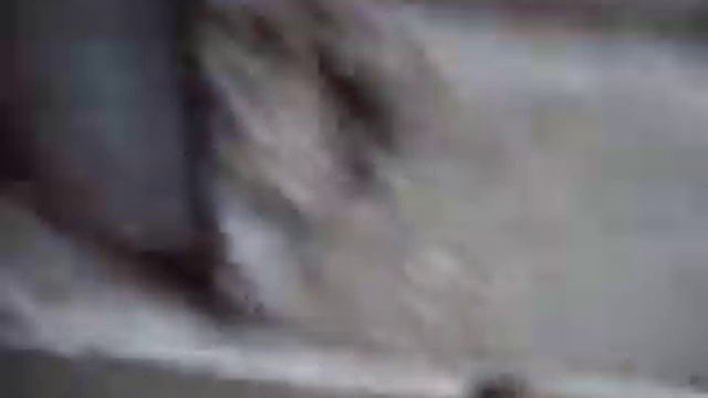 Начало вывода у мускусной утки ( 03.07.19 ) смотреть онлайн