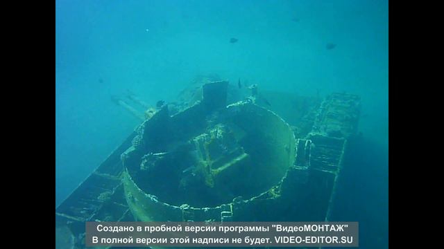 Иордания подводная видео съемка затонувший ТАНК кораллы Снорклинг смотреть онлайн