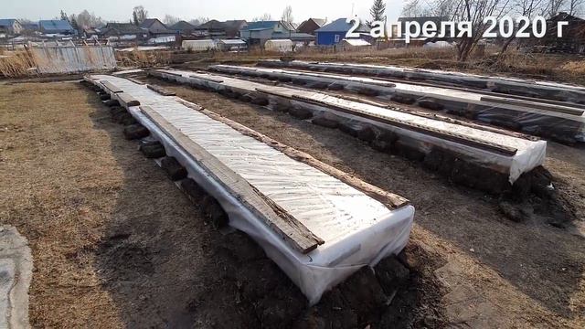Мой виноград. Алтай г. Барнаул. 2 апреля 2020г смотреть онлайн