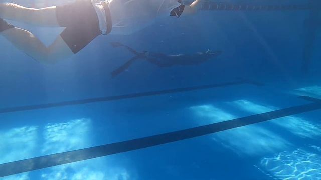 Ольга Давыдова Соревнования по Фридайвингу динамика в ластах Сергей 22.02.2020 смотреть онлайн