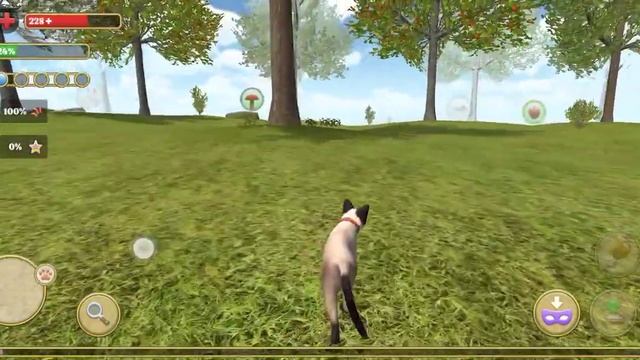 Прокачка в симуляторе кота и кошки+ обзор взлома