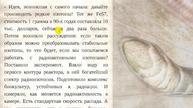 Ядерный реактор в живой клетке. Замалчиваемый холодный ядерный синтез смотреть онлайн