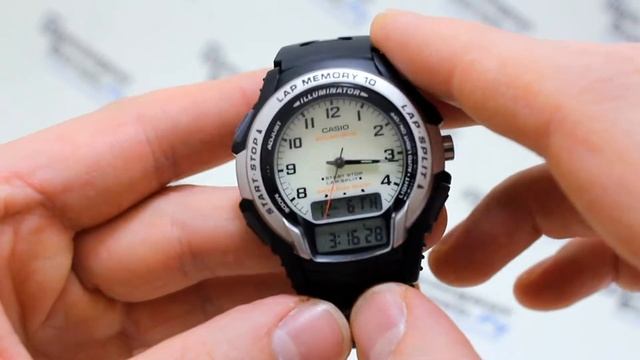 Часы Casio Illuminator WS-300-7B [WS-300-7BVEF] - видео обзор от PresidentWatches.Ru смотреть онлайн