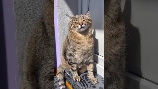 Запахло весной смотреть онлайн