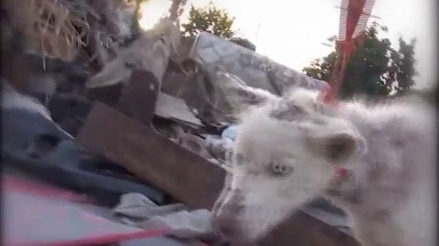 Не выбрасывайте любовь смотреть онлайн