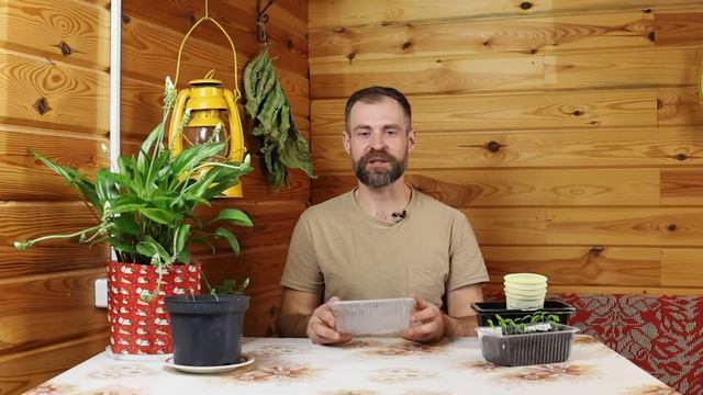 В этих ёмкостях рассада растет лучше всего. смотреть онлайн