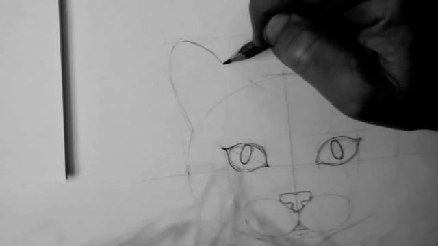 КАК НАРИСОВАТЬ ? КОШКУ КАРАНДАШОМ ПОЭТАПНО смотреть онлайн