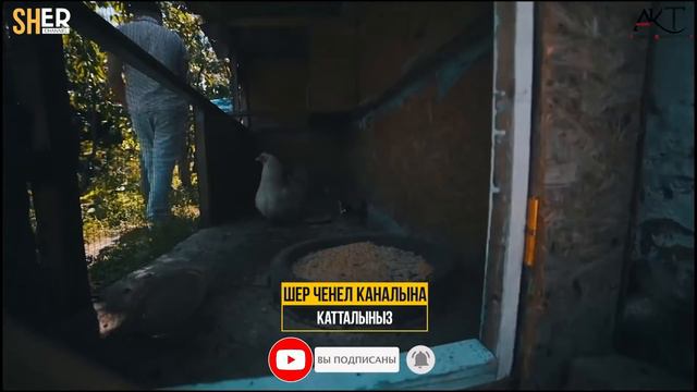 Ырчы ГУЛНАЗ ЧЫНЫБЕК КЫЗЫНЫН ҮЙҮ / Бардык шарты бар экен! СӨЗСҮЗ КӨРҮҢҮЗ смотреть онлайн