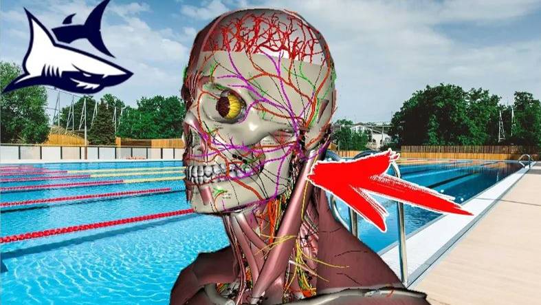 НЕ ПЛАВАЙ В БАССЕЙНЕ, ПОКА НЕ УЗНАЕШЬ ЭТО! Ошибка любительского брасса смотреть онлайн