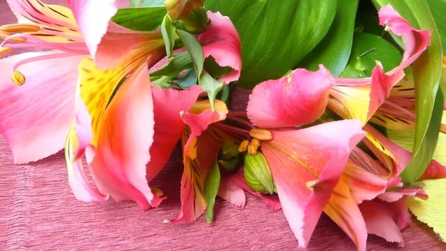 Моей любимой мамочке. С любовью самые красивые стихи. смотреть онлайн