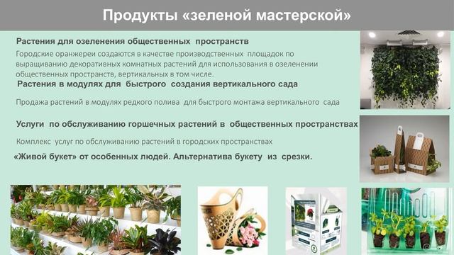 Зеленые мастерские в коррекционных школах и колледжах садоводческого направления смотреть онлайн