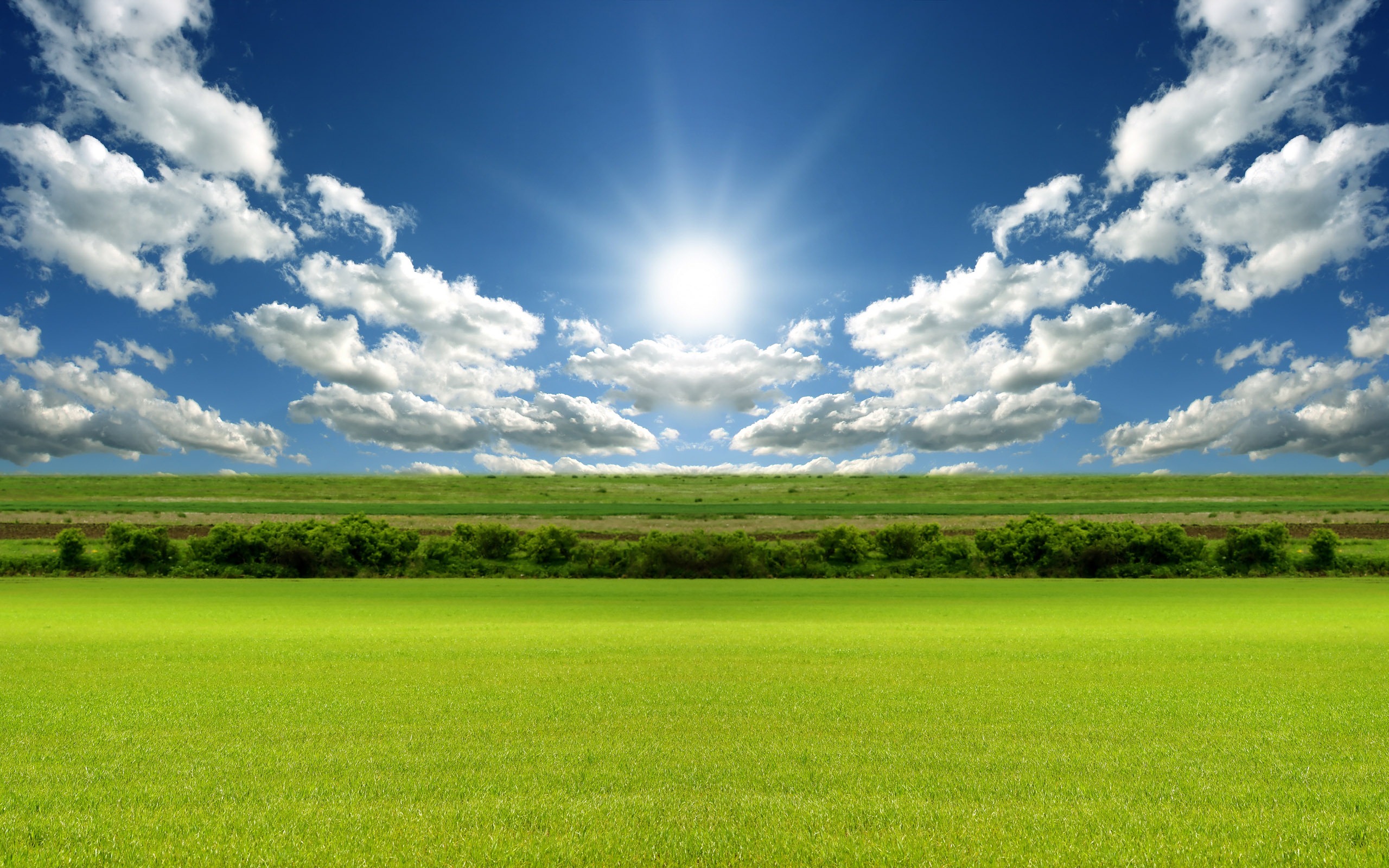 Зелёные дали