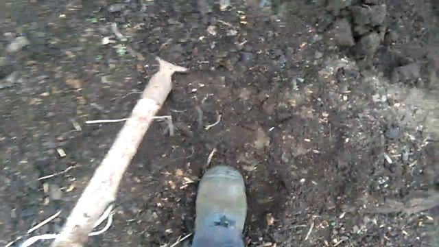 ДОБЫЧА ЧЕРВЕЙ ДЛЯ РЫБАЛКИ. смотреть онлайн