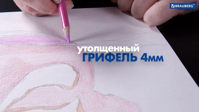 Акварельные карандаши BRAUBERG PREMIUM смотреть онлайн