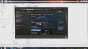 Steam НЕ ЗАПУСКАЕТ ВСЕ ИГРЫ!!!!-Есть Решение:3