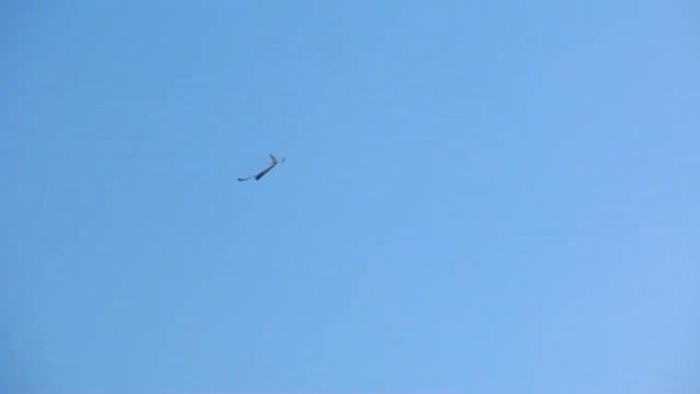 Kamenka, flying RC helicopters T Rex500 T Rex550 p36 смотреть онлайн