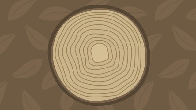 Ту биШват. Инфографика смотреть онлайн