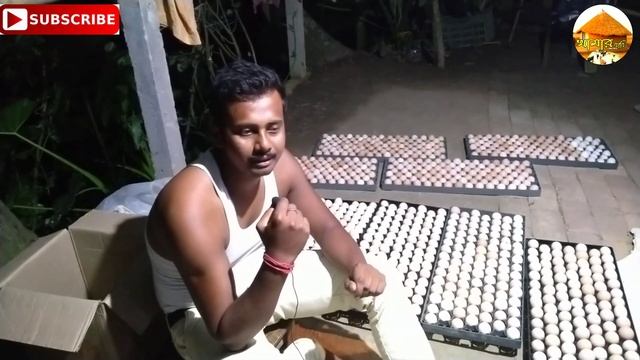 Kadaknath hatching batch update 3500 egg only смотреть онлайн