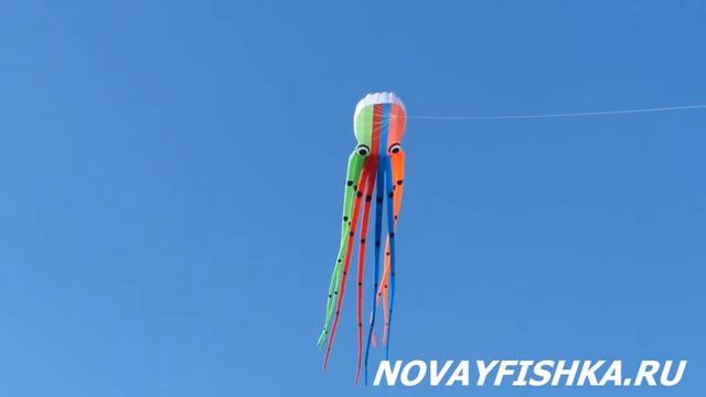 Воздушный змей, Kite ИНТЕРНЕТ_МАГАЗИН Novayfishka.ru