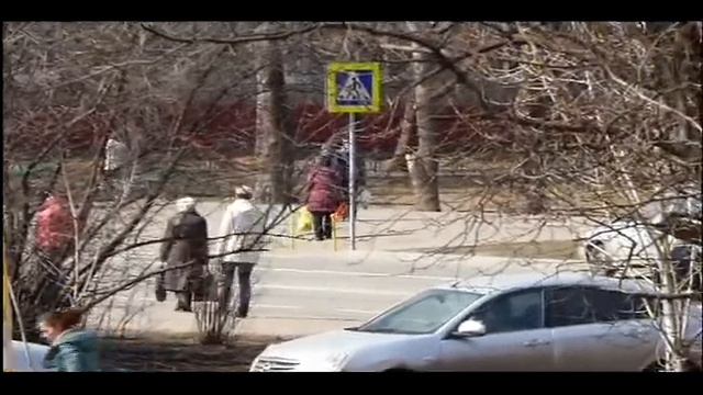 13.04.2016г ...  Бездомная собака Чернышка , живёт при доме 10 лет   .