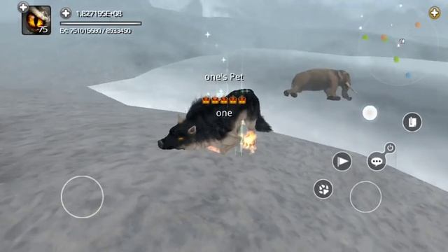 my pet is so cute 4force online смотреть онлайн