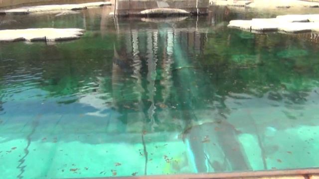Siam Park, аквапарк на Тенерифе смотреть онлайн