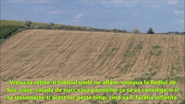 Videoghid despre facelia Partea I Iulie 2020 смотреть онлайн